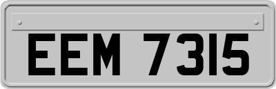 EEM7315