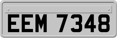 EEM7348