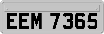EEM7365
