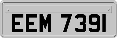 EEM7391