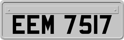 EEM7517