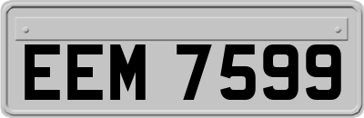EEM7599