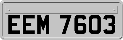 EEM7603