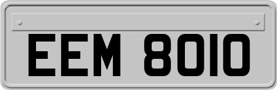 EEM8010