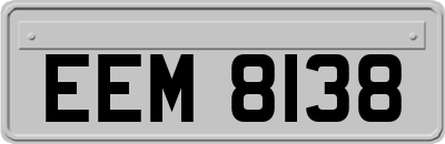 EEM8138
