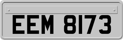 EEM8173