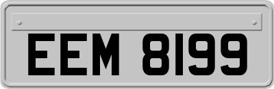 EEM8199