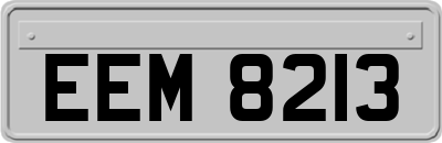 EEM8213