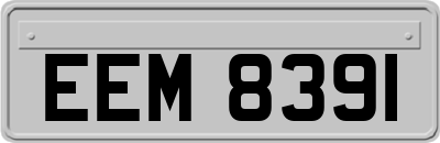 EEM8391