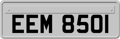 EEM8501