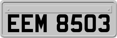 EEM8503