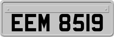 EEM8519