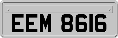EEM8616