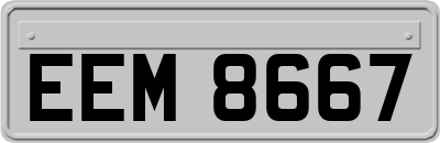 EEM8667