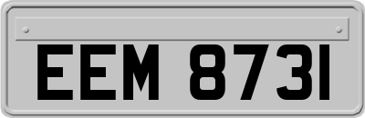 EEM8731