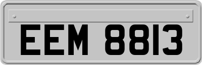EEM8813