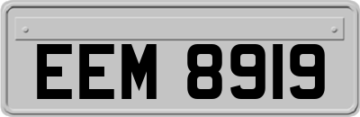 EEM8919