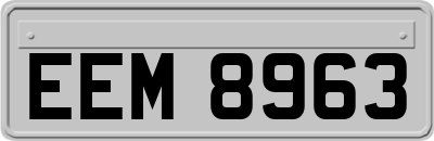 EEM8963