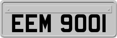 EEM9001