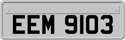 EEM9103