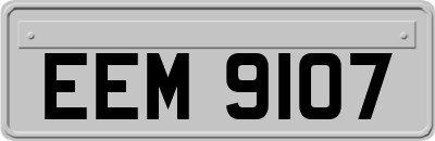 EEM9107