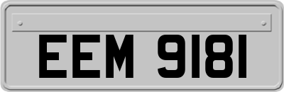 EEM9181