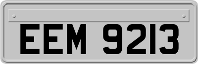 EEM9213
