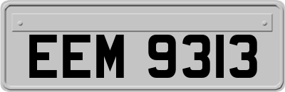 EEM9313