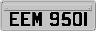 EEM9501