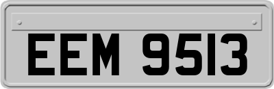 EEM9513
