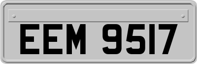EEM9517