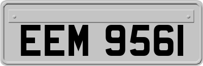 EEM9561