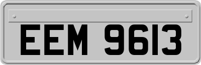 EEM9613