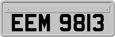 EEM9813