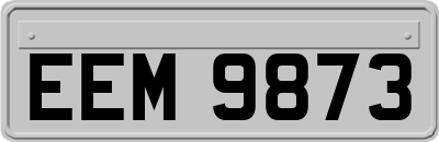 EEM9873