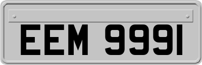EEM9991