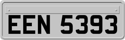 EEN5393