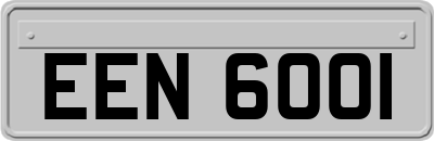 EEN6001