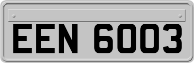 EEN6003