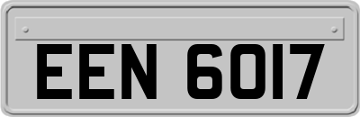 EEN6017