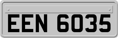 EEN6035