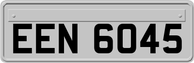 EEN6045