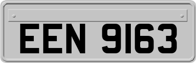 EEN9163