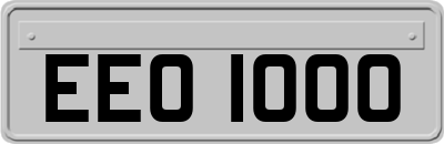 EEO1000
