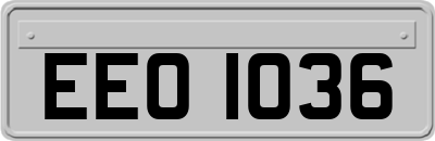EEO1036