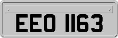 EEO1163