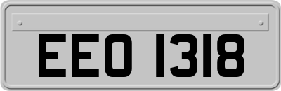 EEO1318
