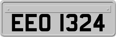 EEO1324
