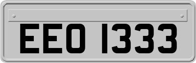 EEO1333