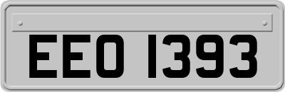 EEO1393